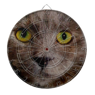 Brown Kitten Oil Paint, Dartboard With Darts