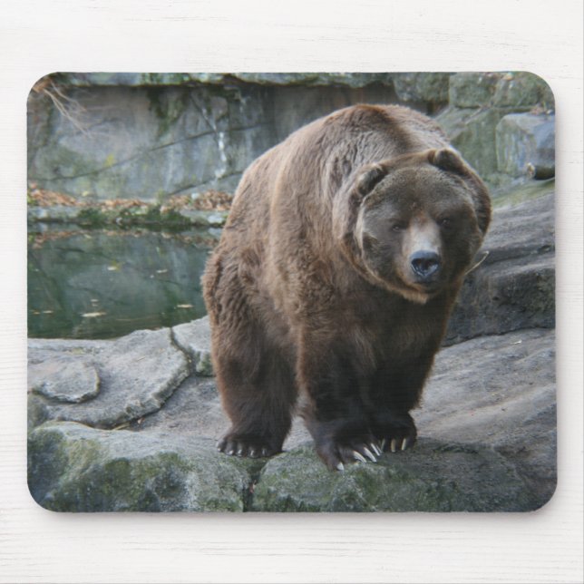 Brown Kodiak Bear Mouse Mat (Front)