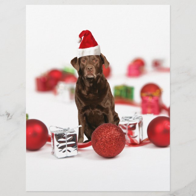 Brown Labrador Dog Christmas w Gifts Santa Hat (Front)