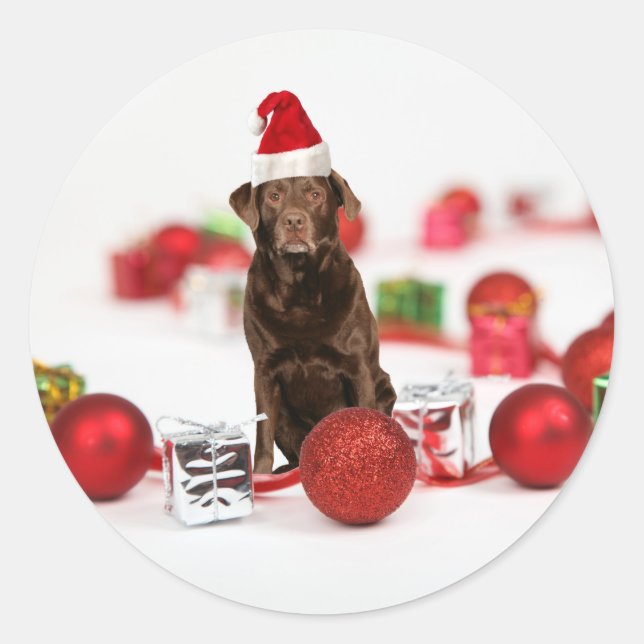 Brown Labrador Dog Christmas w Gifts Santa Hat Classic Round Sticker (Front)