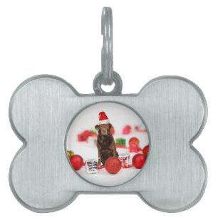 Brown Labrador Dog Christmas w Gifts Santa Hat Pet ID Tag