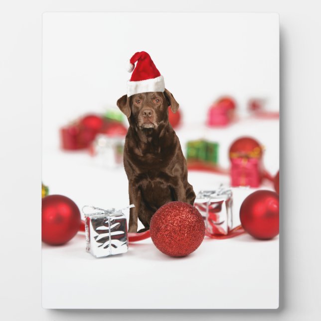 Brown Labrador Dog Christmas w Gifts Santa Hat Plaque (Front)