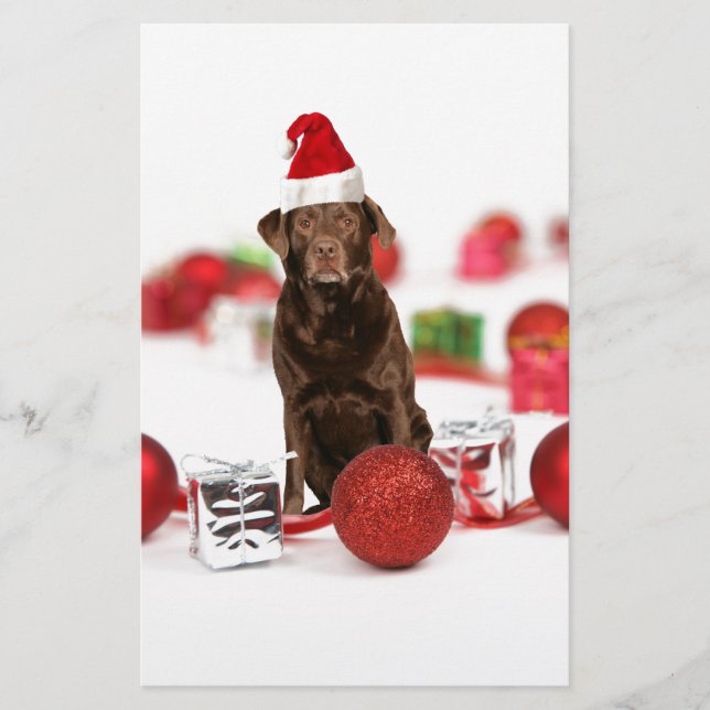 Brown Labrador Dog Christmas w Gifts Santa Hat Stationery (Front)
