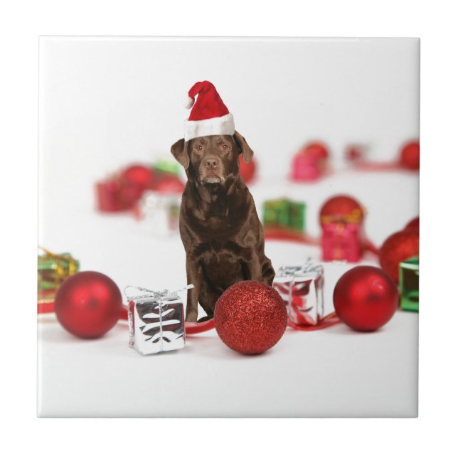 Brown Labrador Dog Christmas w Gifts Santa Hat Tile (Front)