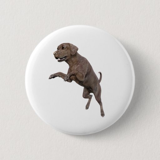 Image of Brown Labrador Dog Leaping 6 Cm Round Badge