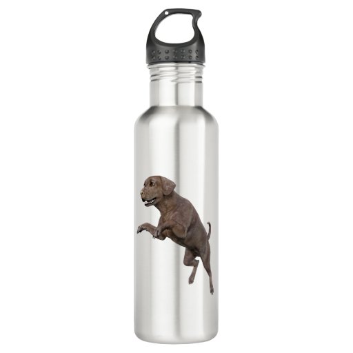Image of Brown Labrador Dog Leaping 710 Ml Water Bottle