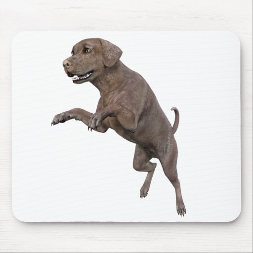 Image of Brown Labrador Dog Leaping Mouse Mat