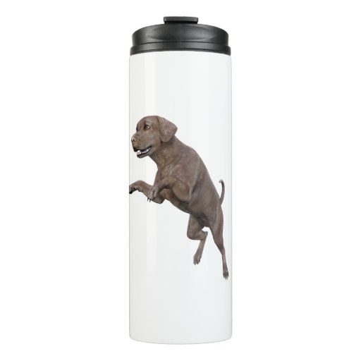 Image of Brown Labrador Dog Leaping Thermal Tumbler