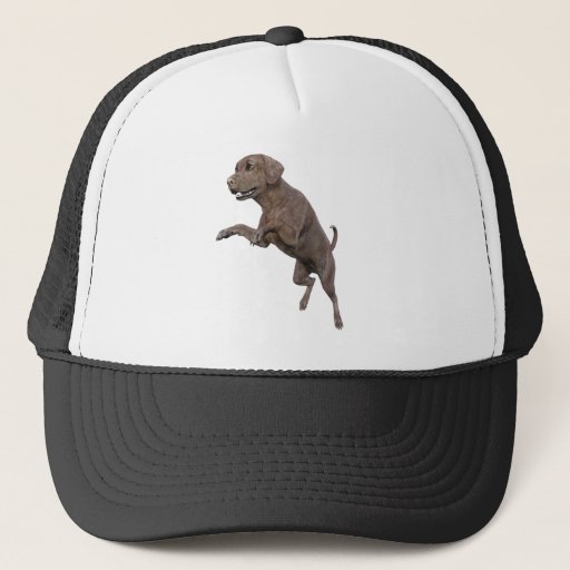 Image of Brown Labrador Dog Leaping Trucker Hat