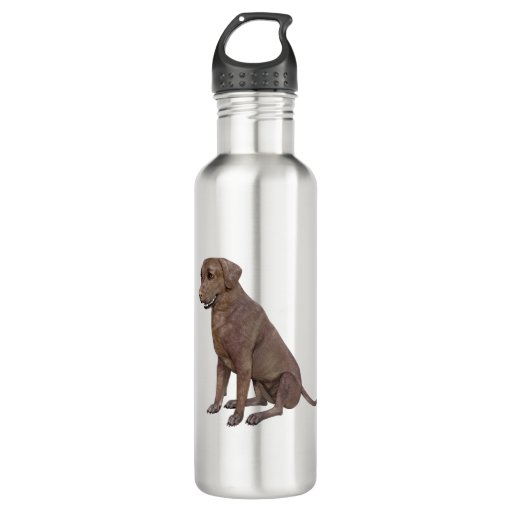 Image of Brown Labrador Dog Sitting Up 710 Ml Water Bottle