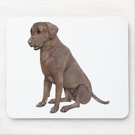 Image of Brown Labrador Dog Sitting Up Mouse Mat