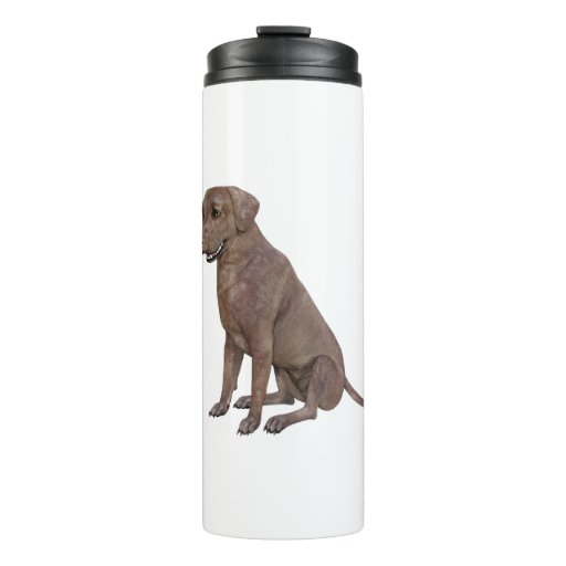 Image of Brown Labrador Dog Sitting Up Thermal Tumbler