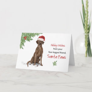 Brown Labrador Retriever Christmas From Dog in Fun Card