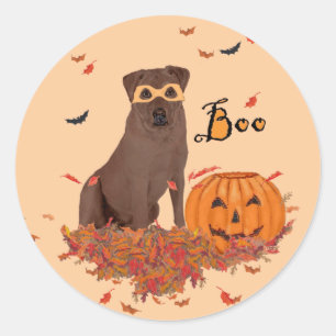 Brown Labrador Retriever Halloween Classic Round Sticker