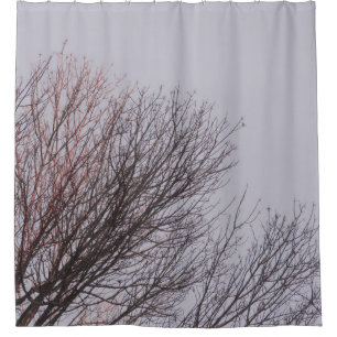 BROWN LEAFLESS TREE UNDER WHITE SKY SHOWER CURTAIN