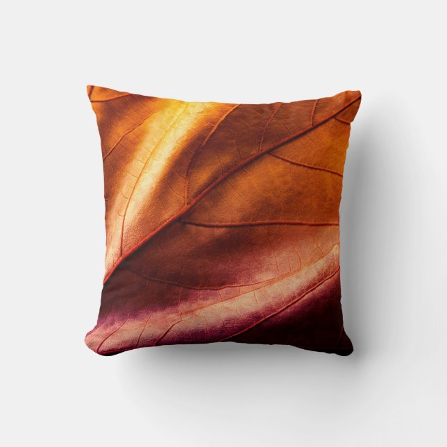 Brown leather textureleather,abstract,antique,back cushion (Front)