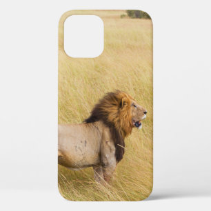 BROWN LION ON GRASS FIELD DURING DAYTIME iPhone 12 CASE