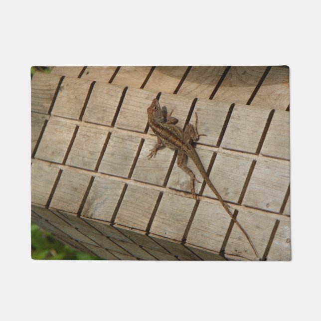 BROWN LIZARD DOORMAT (Front)