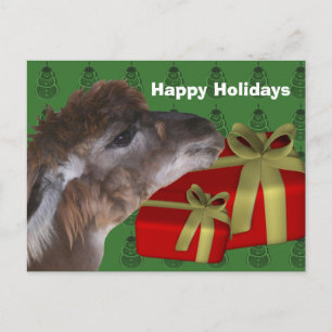 Brown Llama Farm Animal Christmas Holiday Postcard
