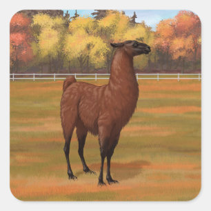 Brown Llama in Autumn Farm Pasture Square Sticker