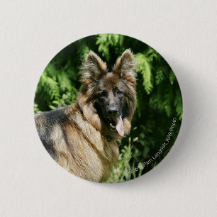 Brown Long Haired German Shepherd 1 6 Cm Round Badge