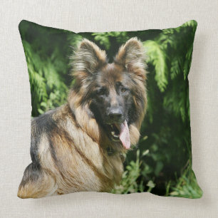Brown Long Haired German Shepherd 1 Cushion
