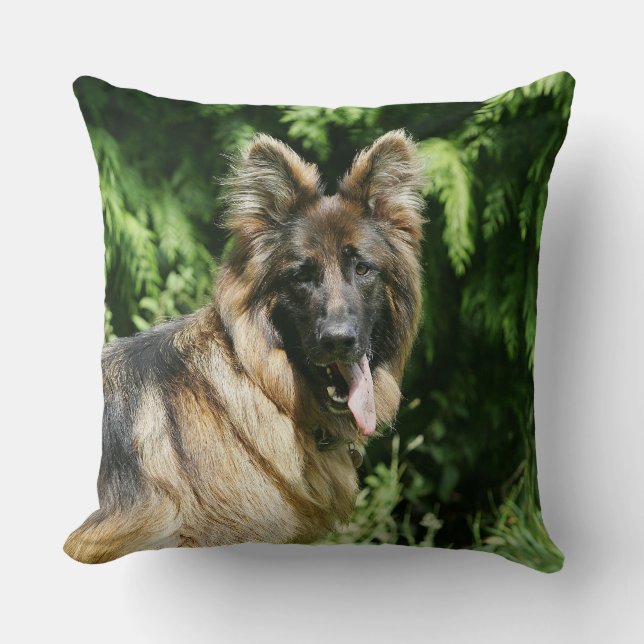 Brown Long Haired German Shepherd 1 Cushion (Front)