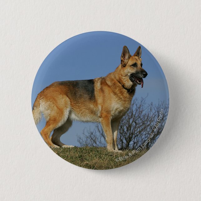 Brown Long Haired German Shepherd 2 6 Cm Round Badge (Front)