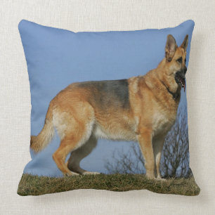 Brown Long Haired German Shepherd 2 Cushion