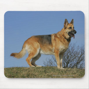 Brown Long Haired German Shepherd 2 Mouse Mat