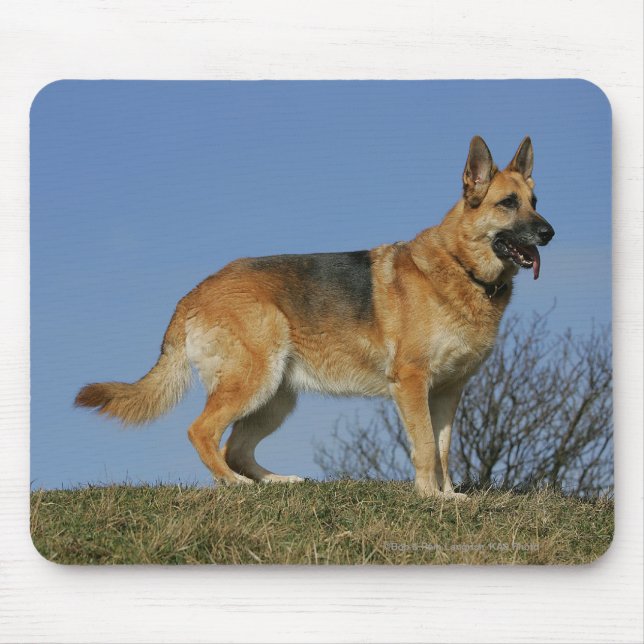 Brown Long Haired German Shepherd 2 Mouse Mat (Front)