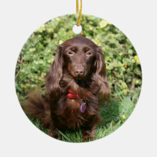 Brown Long-haired Miniature Dachshund Ceramic Tree Decoration