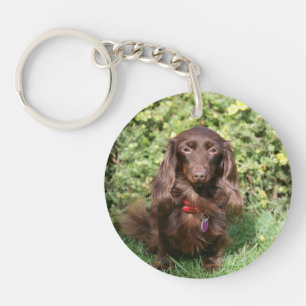 Brown Long-haired Miniature Dachshund Key Ring
