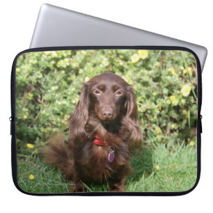 Brown Long-haired Miniature Dachshund Laptop Sleeve