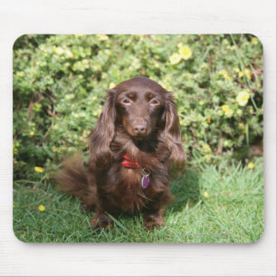 Brown Long-haired Miniature Dachshund Mouse Mat