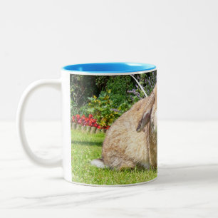 Brown lopped ear rabbit with lavender Two-Tone coffee mug