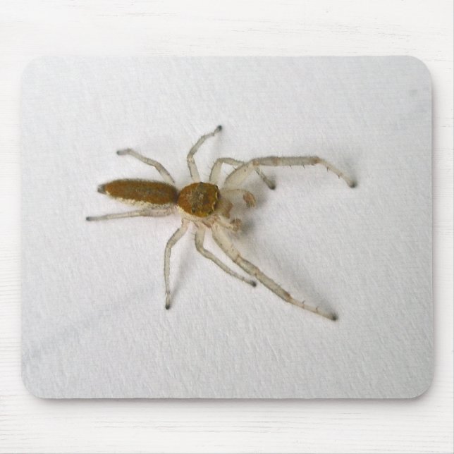 Brown Male Jumping Spider Series Matching Items Mouse Mat (Front)