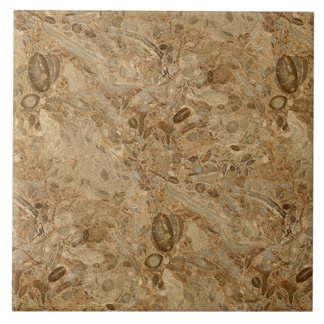 Brown Marble Fossil Look Tile (Front)