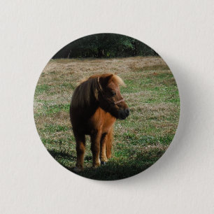 Brown Miniature Horses 6 Cm Round Badge