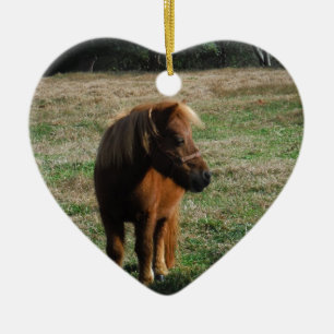 Brown Miniature Horses Ceramic Tree Decoration