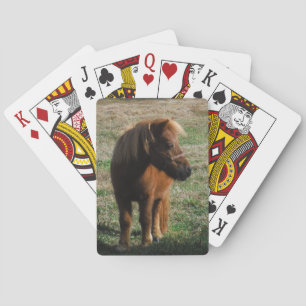 Brown Miniature Horses Playing Cards