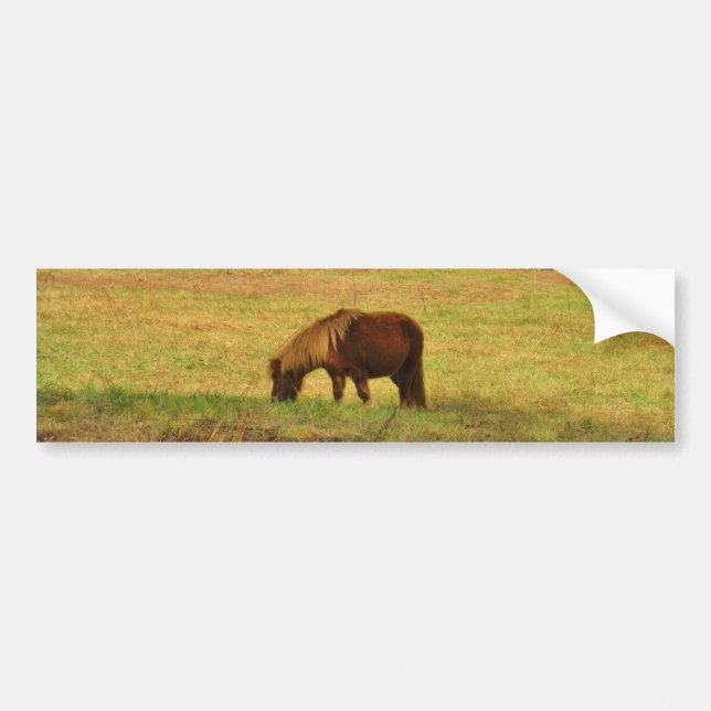 Brown miniature Pony Bumper Sticker (Front)