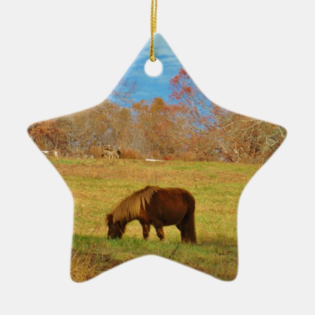 Brown miniature Pony Ceramic Tree Decoration (Front)
