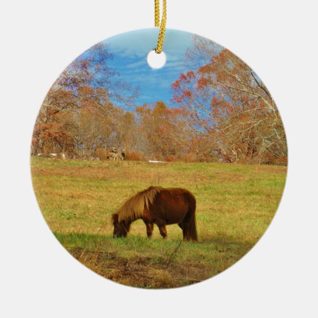 Brown miniature Pony Ceramic Tree Decoration (Front)