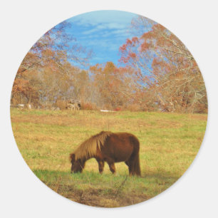 Brown miniature Pony Classic Round Sticker