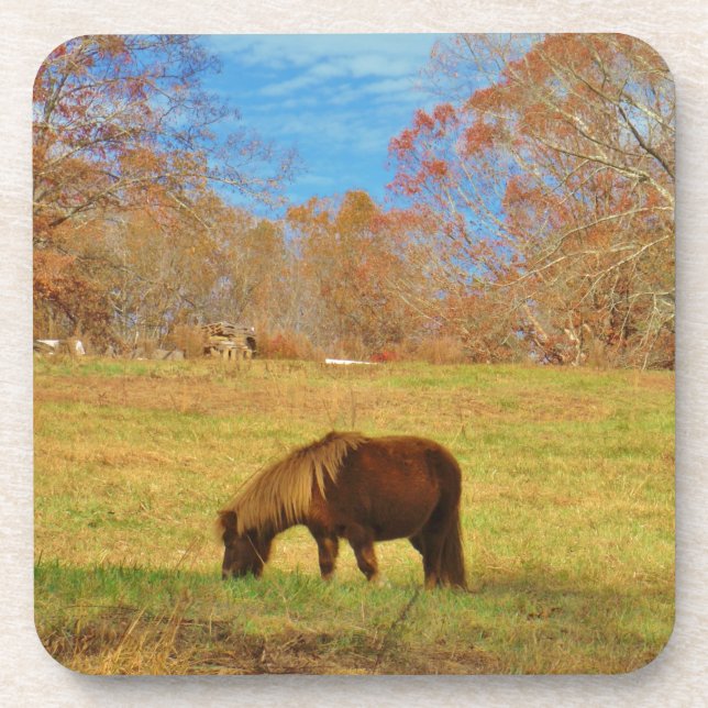 Brown miniature Pony Coaster (Front)