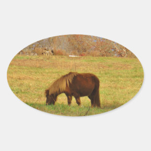 Brown miniature Pony Oval Sticker