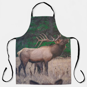 BROWN MOOSE NEAR GREEN TREE AT DAYTIME APRON