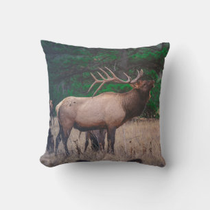 BROWN MOOSE NEAR GREEN TREE AT DAYTIME CUSHION