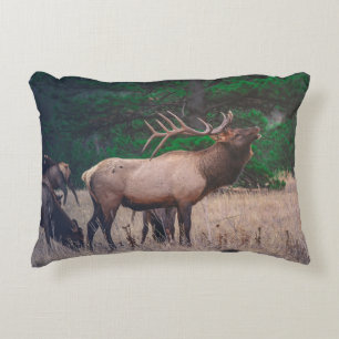 BROWN MOOSE NEAR GREEN TREE AT DAYTIME DECORATIVE CUSHION